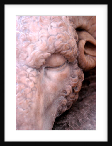 Jason and the golden fleece by Stuart Cox