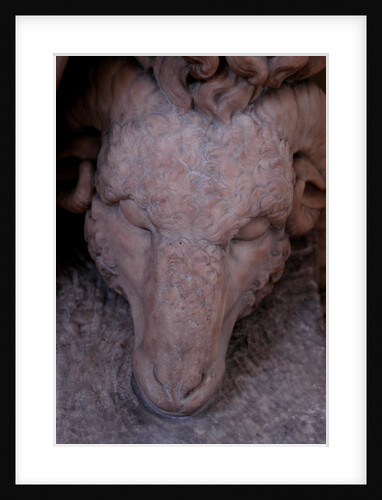 Jason and the golden fleece by Stuart Cox