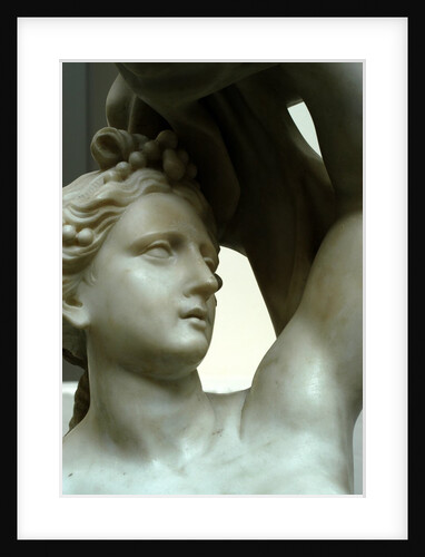 Venus, detail by Stuart Cox
