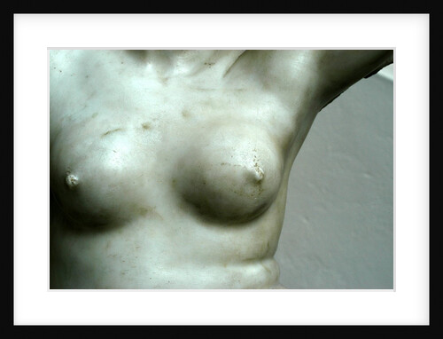 Venus, detail of breast by Stuart Cox