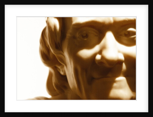 Francois Marie Aronet de Voltaire, detail by Stuart Cox