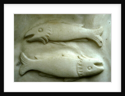 Pisces by Stuart Cox
