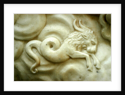 Capricorn by Stuart Cox