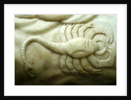 Scorpio by Stuart Cox