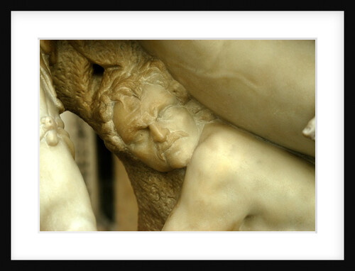 Zephyrus and Flora, detail by Stuart Cox