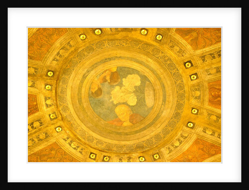 Casa Maffi, detail of ceiling by Stuart Cox