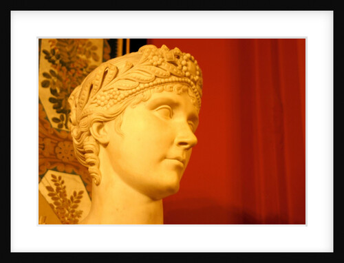 Josephine Bonaparte by Stuart Cox