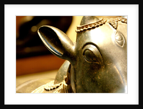 Nandi, detail by Stuart Cox