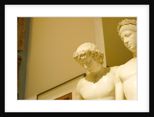 The Dioscuri by Stuart Cox