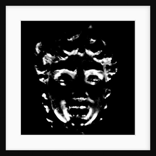 Medusa's Head by Stuart Cox