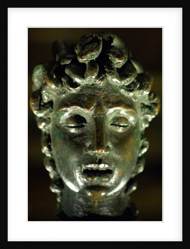 Medusa's Head by Stuart Cox