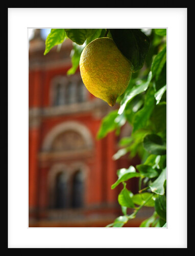 V&A Museum, John Madejski Garden, designed by Kim Wilkie by Stuart Cox