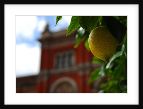 V&A Museum, John Madejski Garden, designed by Kim Wilkie by Stuart Cox