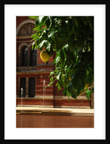 V&A Museum, John Madejski Garden, designed by Kim Wilkie by Stuart Cox