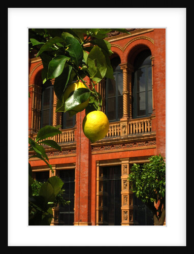 V&A Museum, John Madejski Garden, designed by Kim Wilkie by Stuart Cox