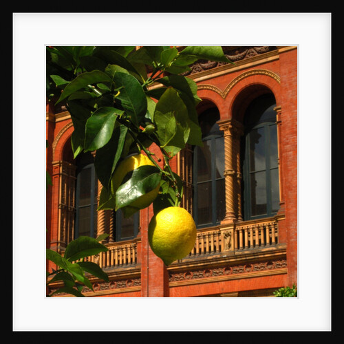 V&A Museum, John Madejski Garden, designed by Kim Wilkie by Stuart Cox