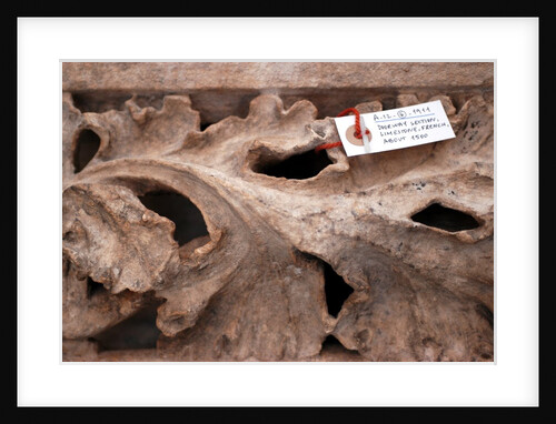 Doorway sections by Stuart Cox