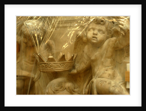 Memorial to Francis Musters in conservation by Stuart Cox