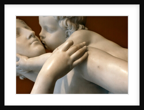 Maternal Affection by Stuart Cox