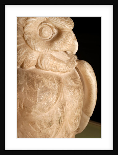 Owl by Stuart Cox