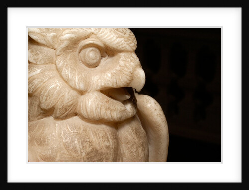 Owl by Stuart Cox