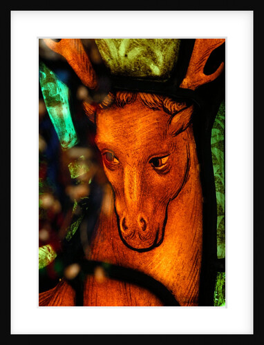 Stag's head from St by Stuart Cox