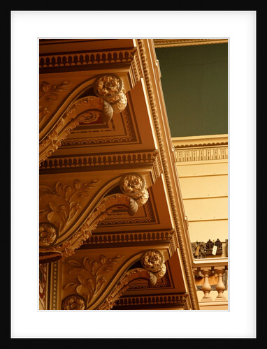 Ceiling cornice by Stuart Cox