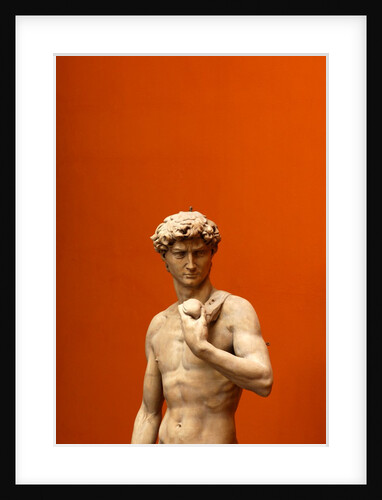 David by Stuart Cox