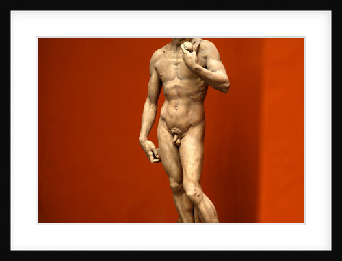 David by Stuart Cox