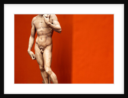 David by Stuart Cox