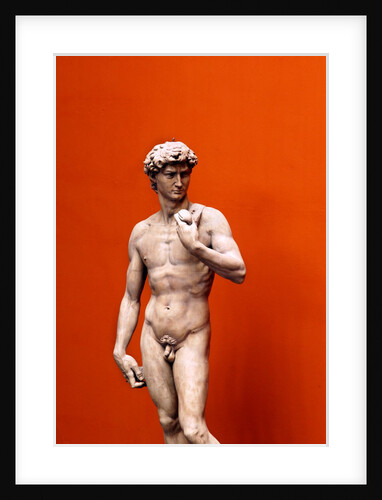 David by Stuart Cox
