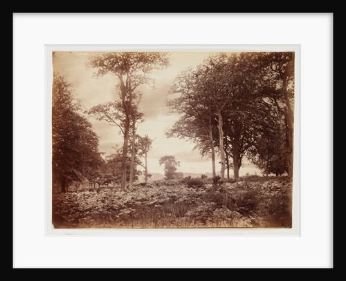 Landscape by Henry Peach Robinson