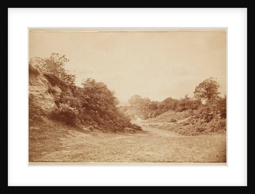 Culverdon Down by Henry Peach Robinson