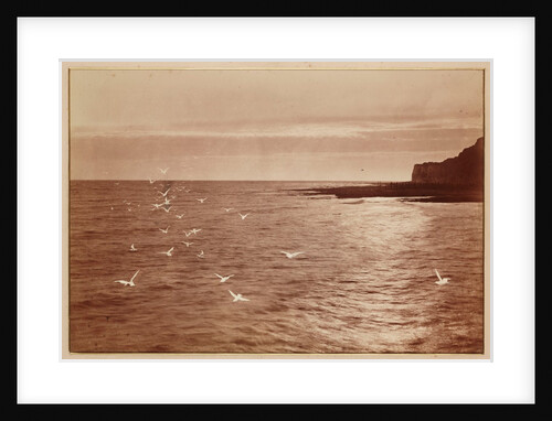 Seagulls by Henry Peach Robinson