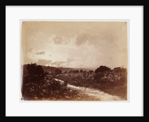 Evening on Culverdon Down by c 1868