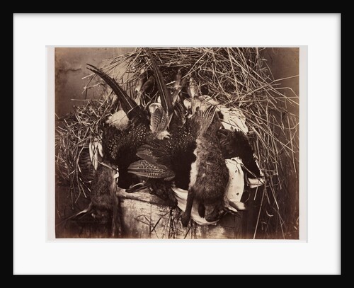 Fur and Feathers by Roger Fenton