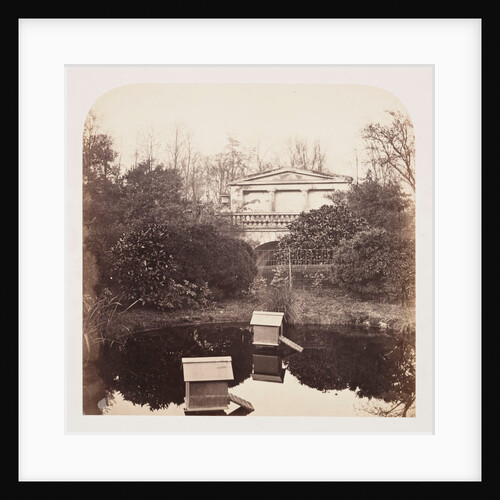 Breeding Pool by Roger Fenton
