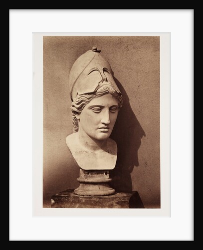 Head of Minerva by Roger Fenton
