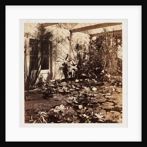 Lily Pond and Hothouse by Roger Fenton