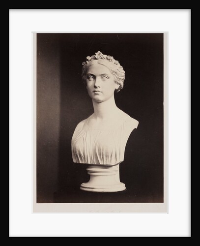 The Princess Royal by Roger Fenton