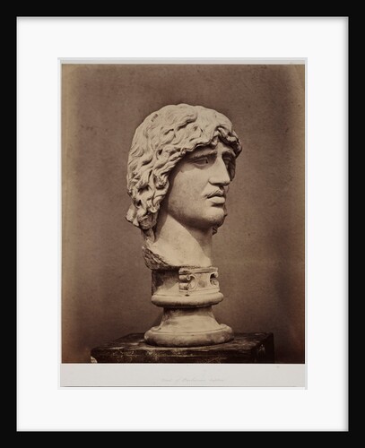 Head of Barbarian Captive by Roger Fenton