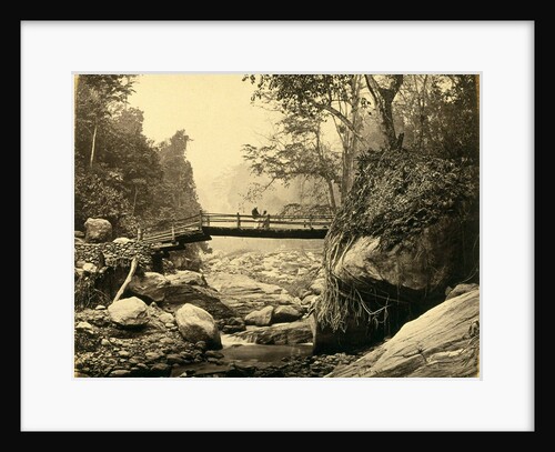 Bridge over Rungoo below Ging by Samuel Bourne