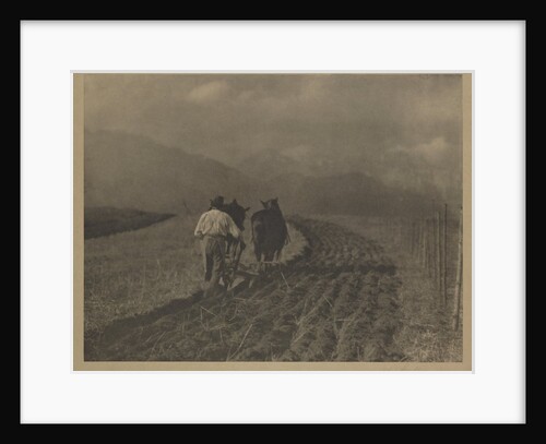Ploughing - The  Tirol by Alfred Stieglitz