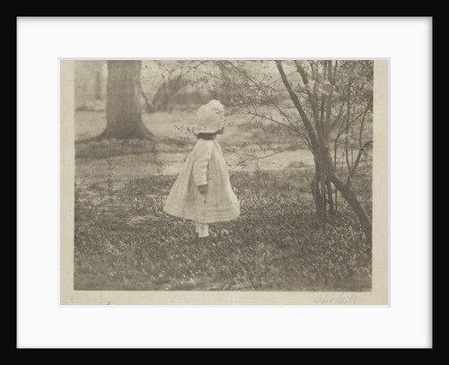 Spring by Alfred Stieglitz