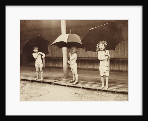An Air Bath in the Rain by Andrew Pitcairn-Knowles