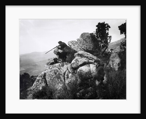 Corsica Shooting by Andrew Pitcairn-Knowles