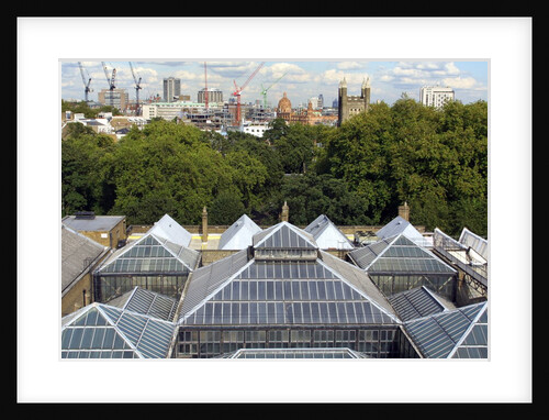 Roofscape of the V&A Museum by Anonymous