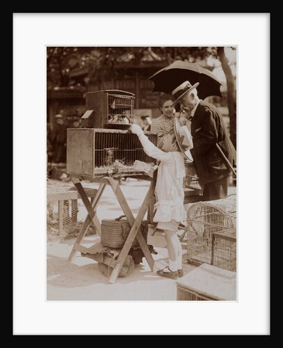 Selecting His Birthday Present by Andrew Pitcairn-Knowles