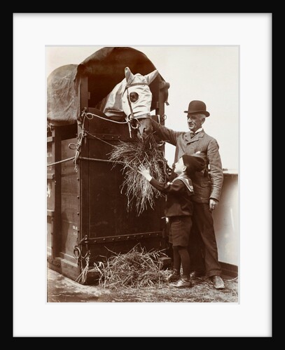 Gordon Feeding Hay to Horse by Andrew Pitcairn-Knowles