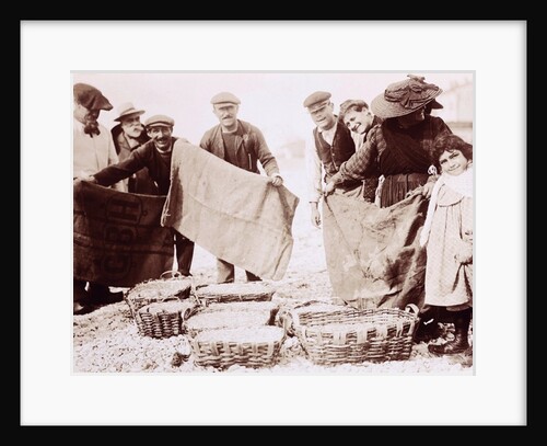 Baskets and Sacks by Andrew Pitcairn-Knowles
